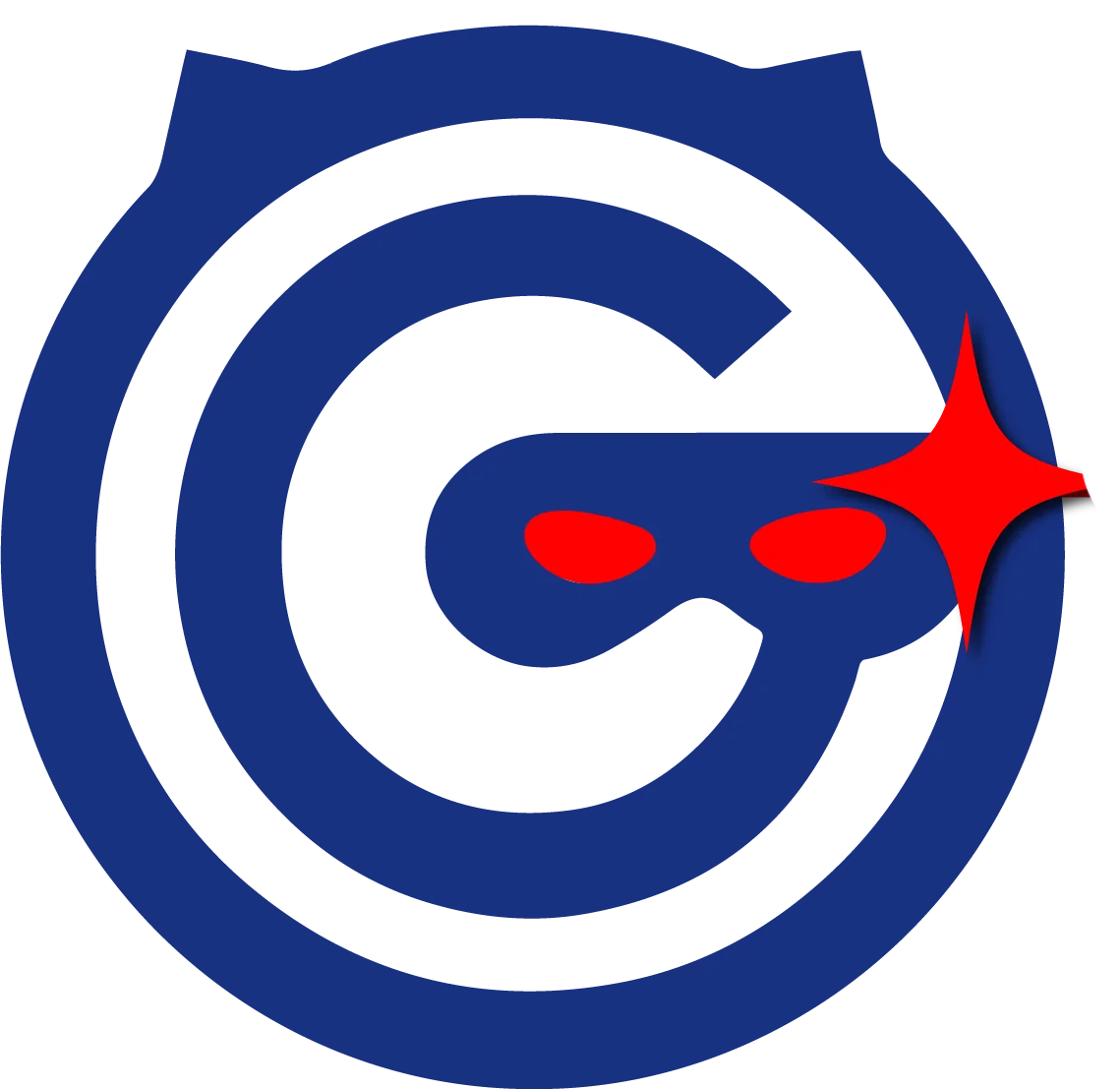 GLOCAL AGENTS
